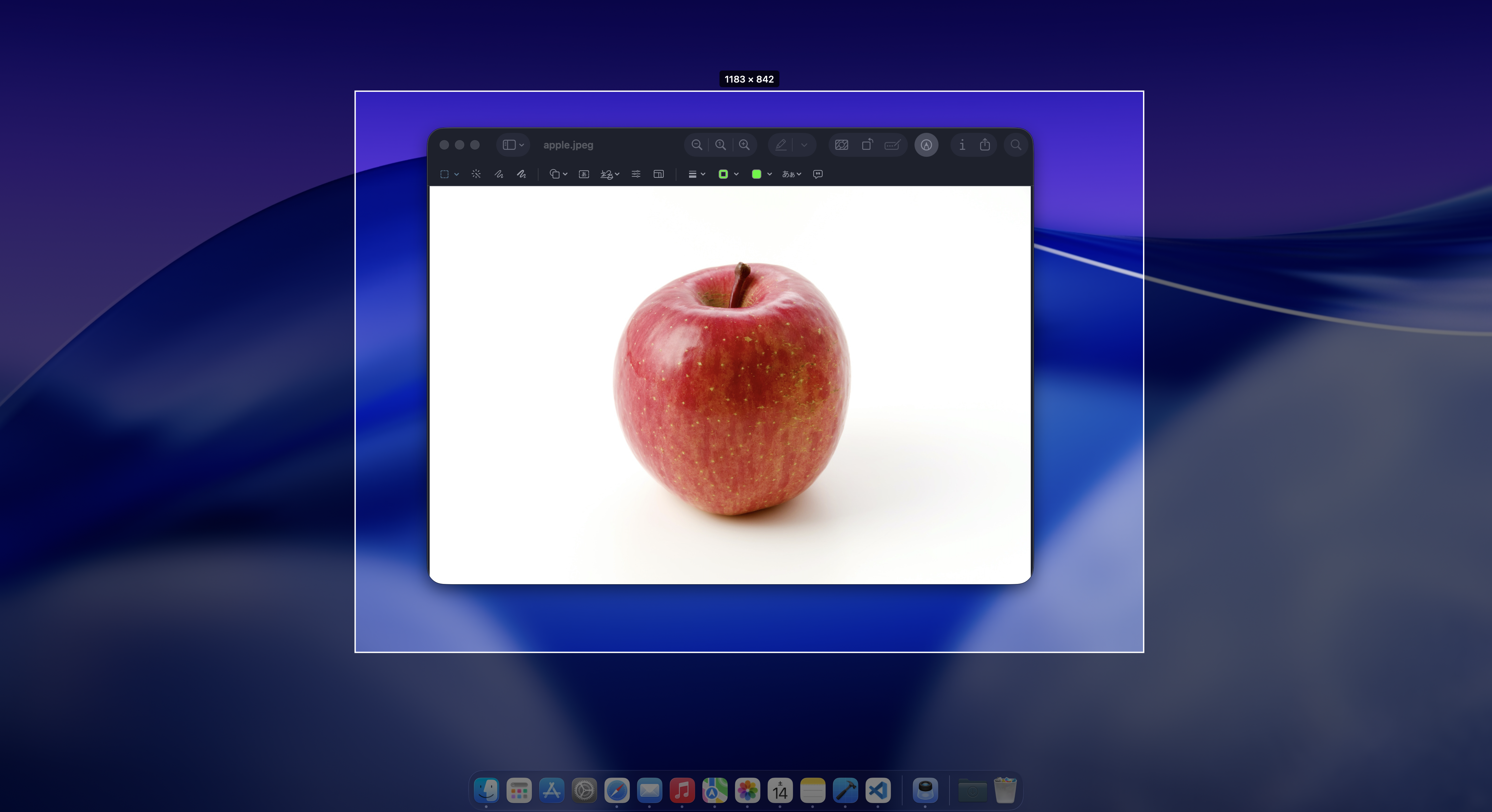 Screen Magnum — Capture